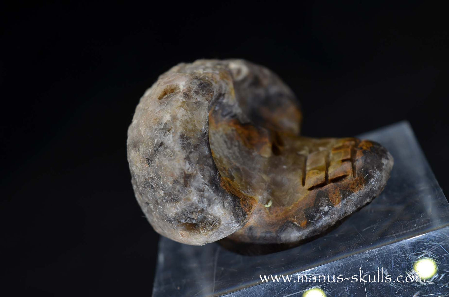 Agate Geode Evolian #05