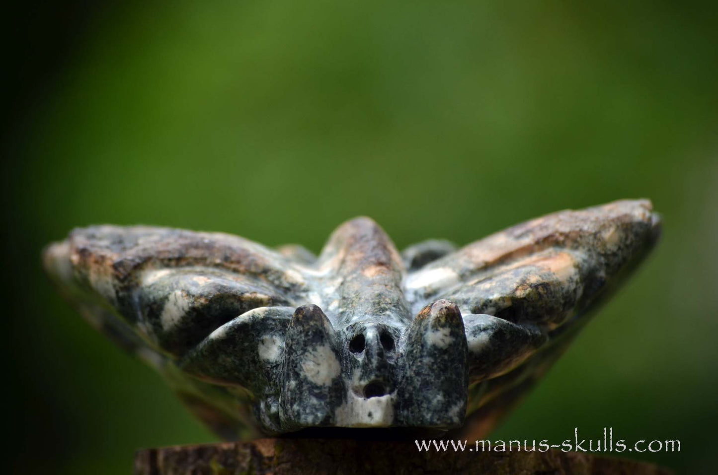Preseli Bluestone Butterfly Dragon ....
