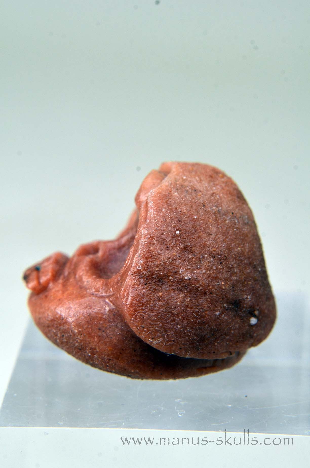 Manus skulls unique Crystal Carvings handmade skulls dragons pendants preseli bluestone tribals spiritual meaning wand Unicorn .. Stromatolite  Oncolite   Evolian 2025  Ivolian