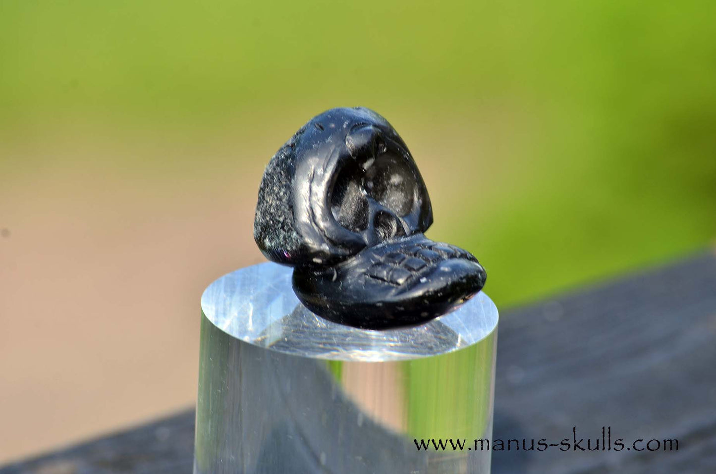 Agni Manitite Evolian #04