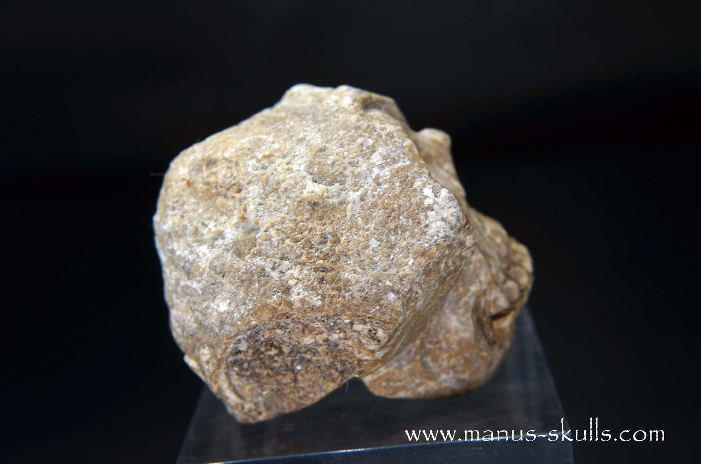 Aragonite Nodul Skull
