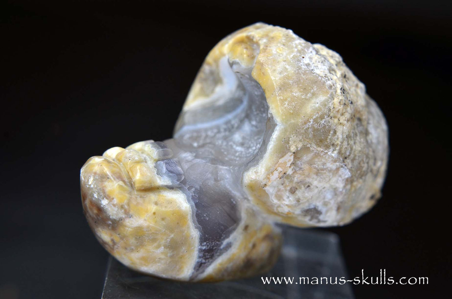 TNT-bed Thunderegg Evolian #04