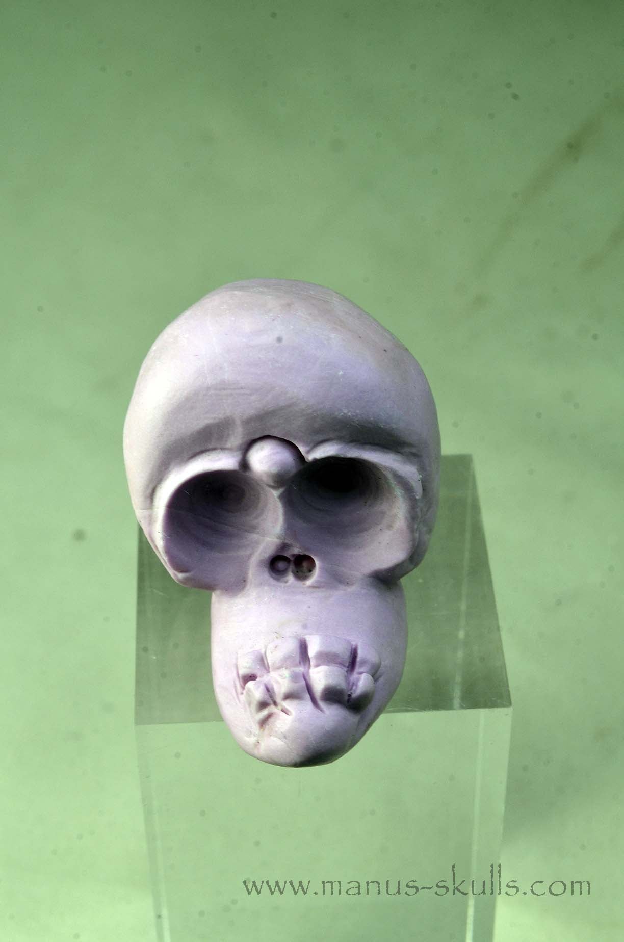 Phosphosiderite Evolian Skull #05