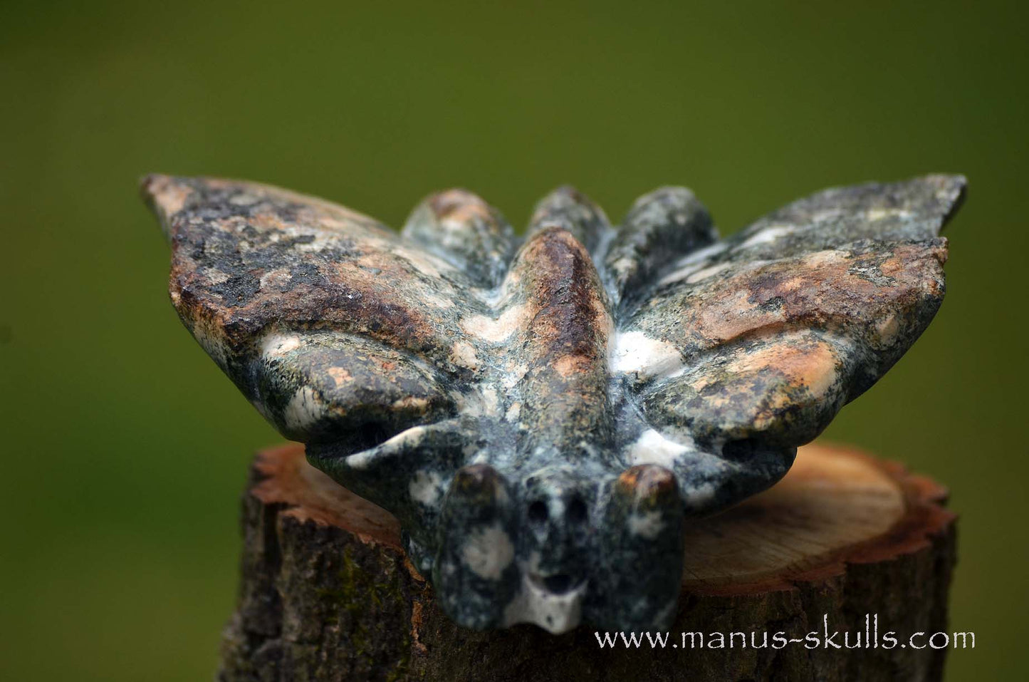 Preseli Bluestone Butterfly Dragon ....