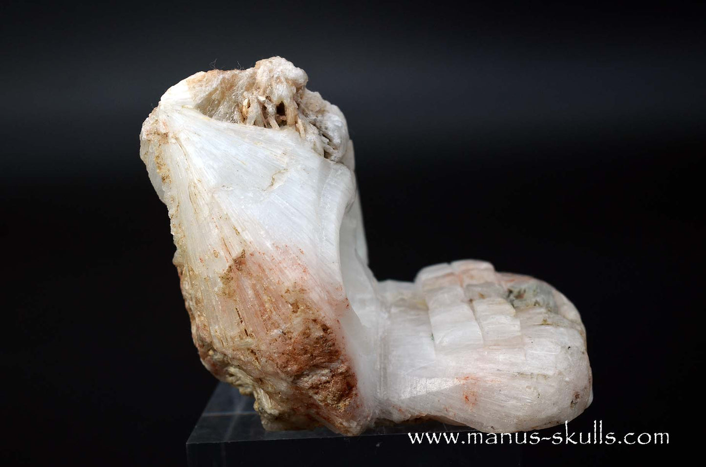 Scolecite Evolian Skull #04