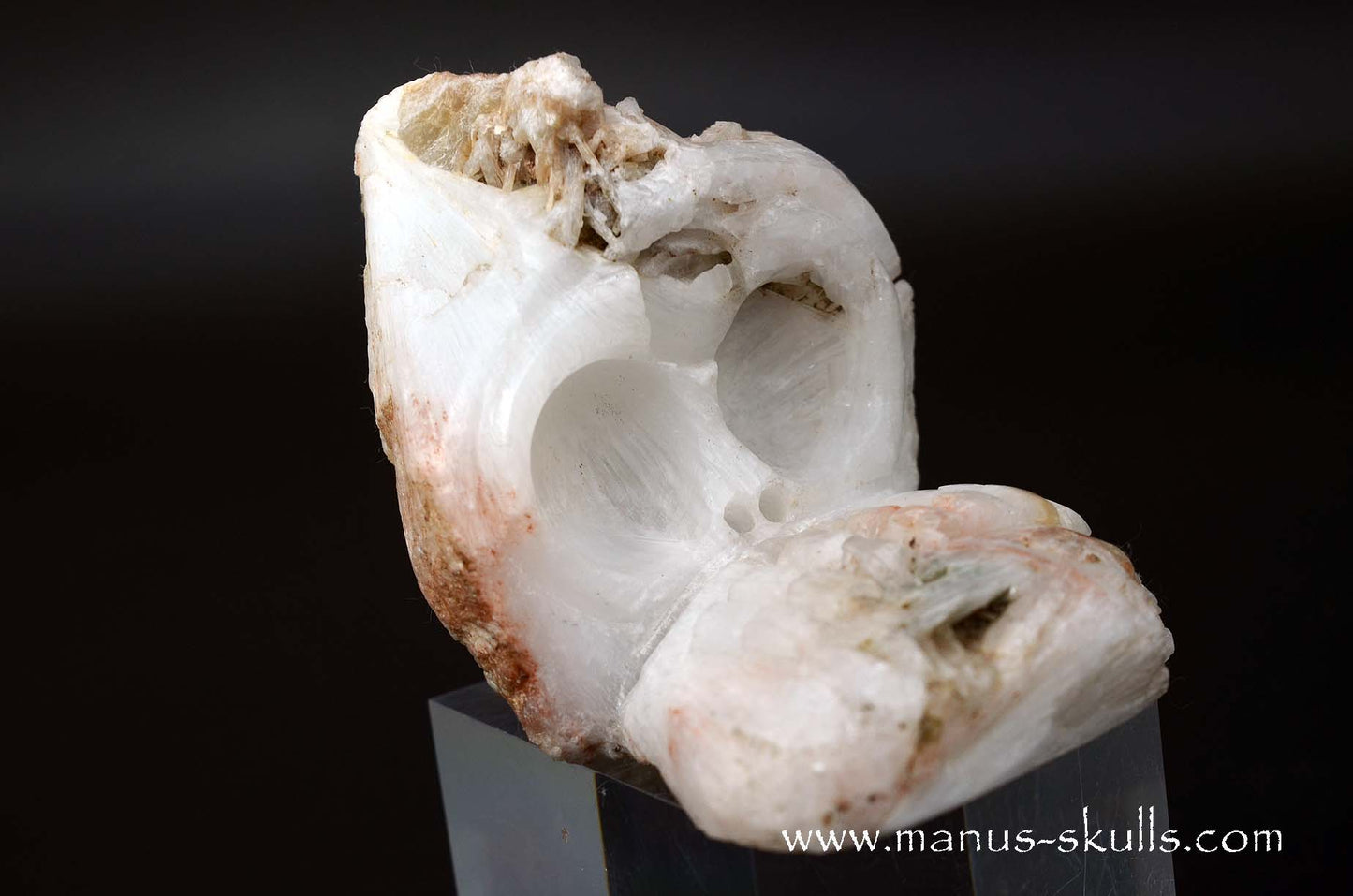 Scolecite Evolian Skull #04