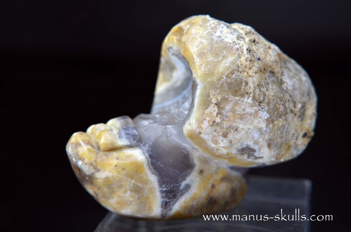 TNT-bed Thunderegg Evolian #04