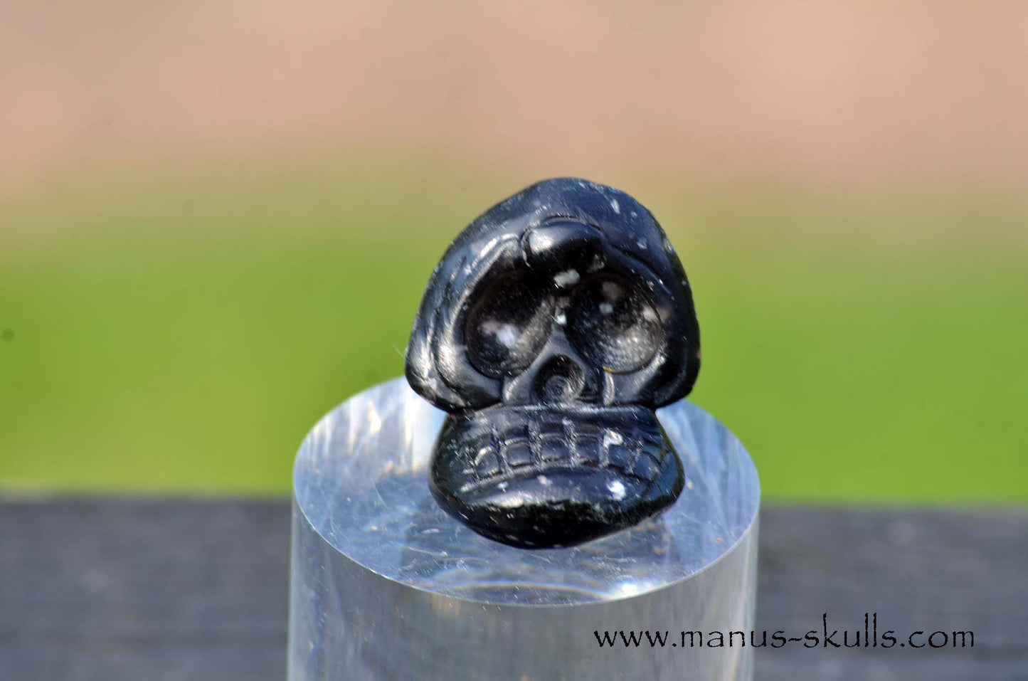 Agni Manitite Evolian #04
