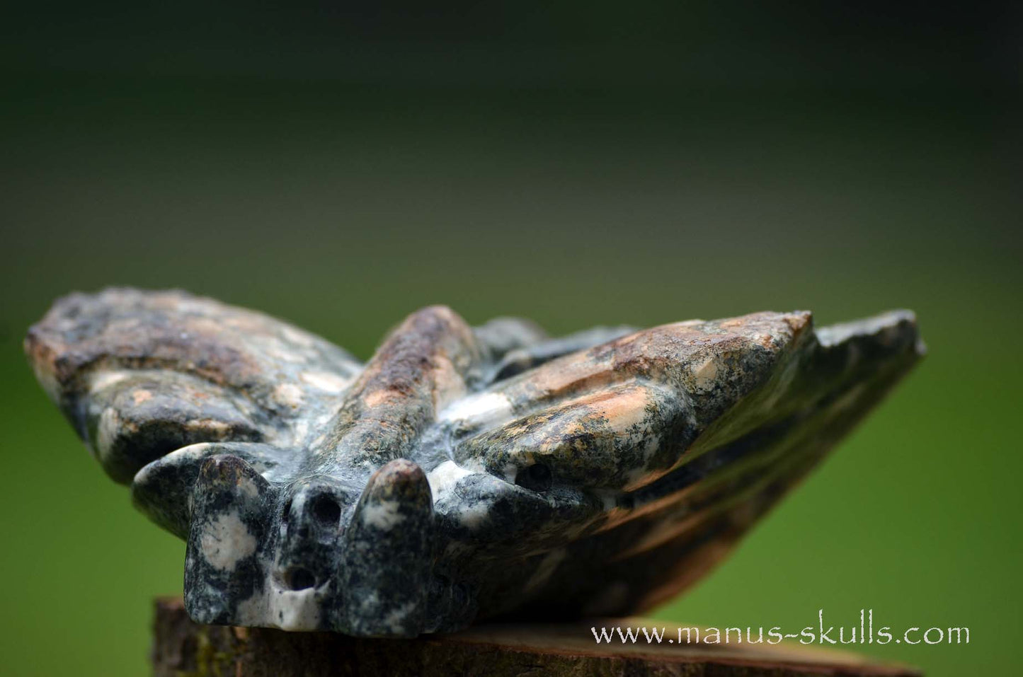 Preseli Bluestone Butterfly Dragon ....