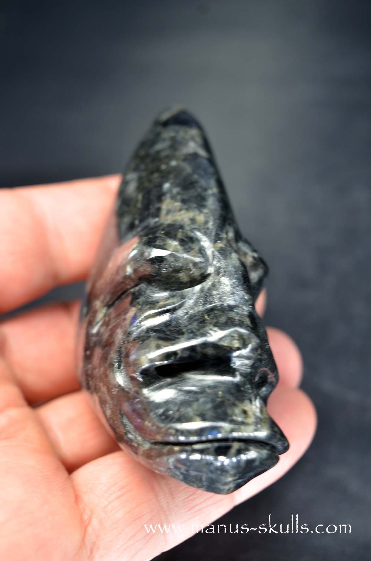 Spectrolite Toothless Conehead Skull