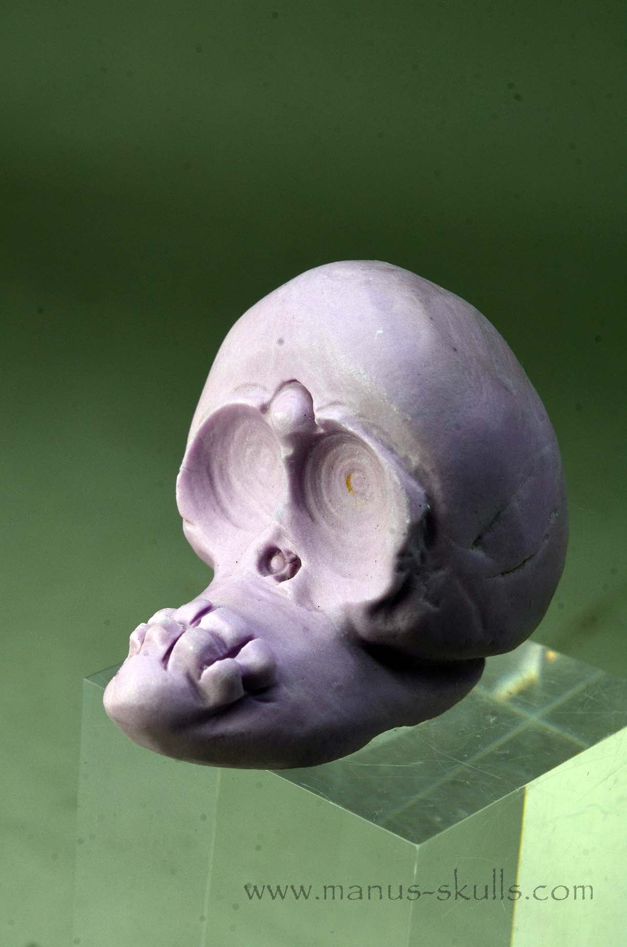 Phosphosiderite Evolian Skull #05