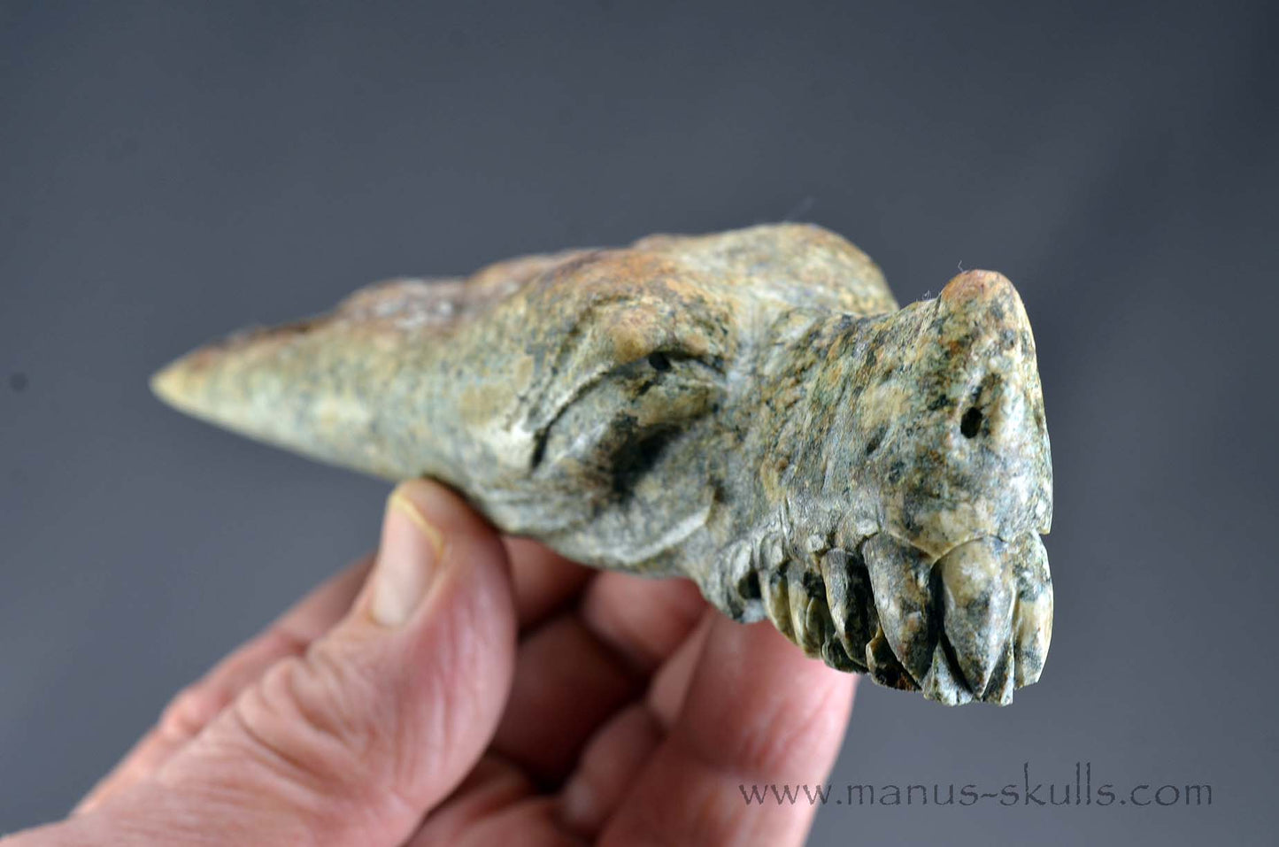 Preseli Bluestone Dragon