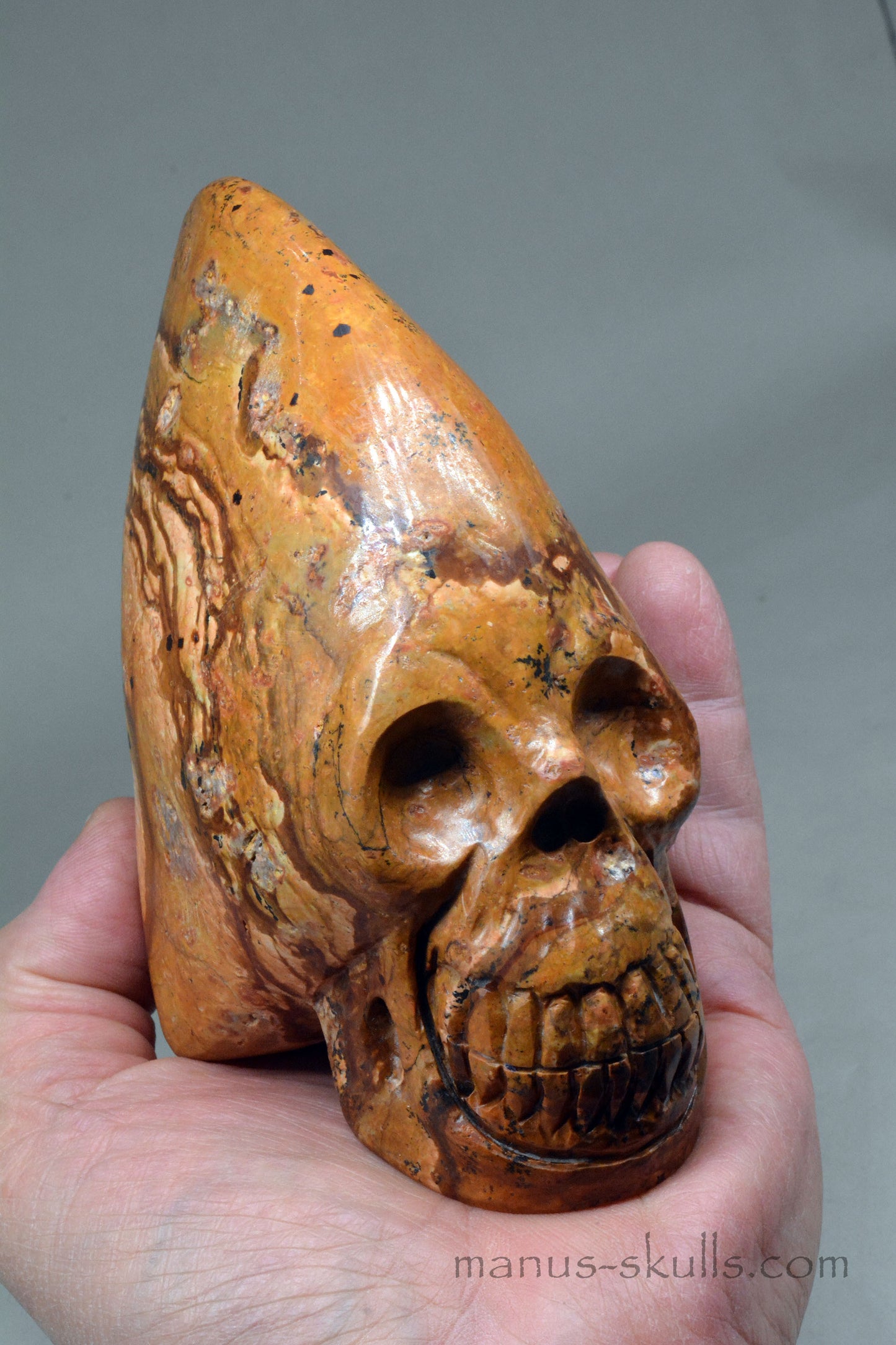 Landscape Jasper Conehead Skull