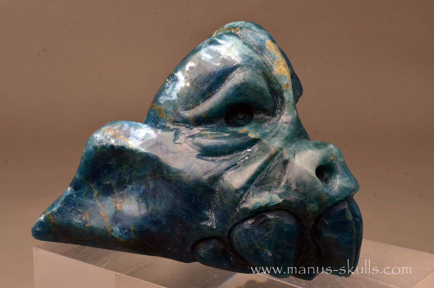 Apatite Dragon