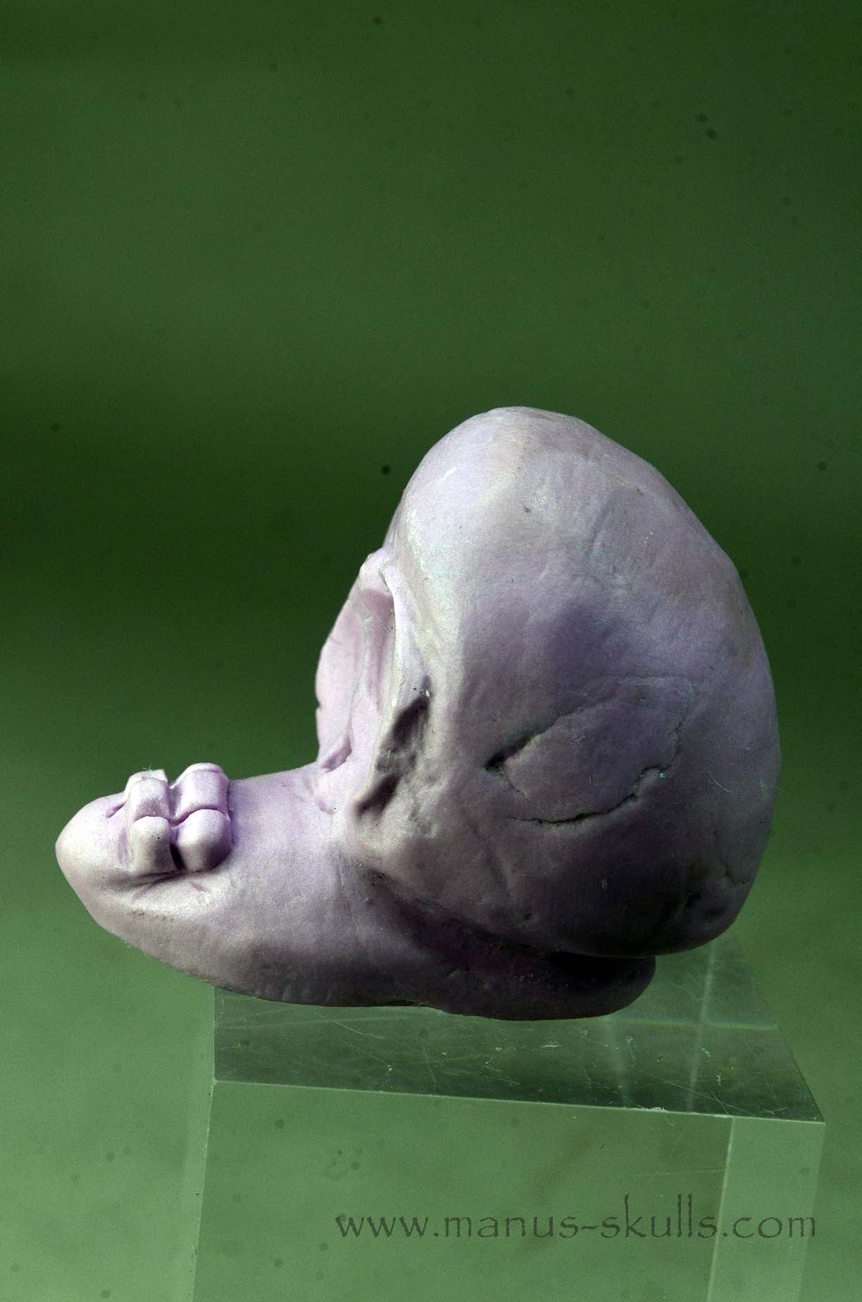 Phosphosiderite Evolian Skull #05