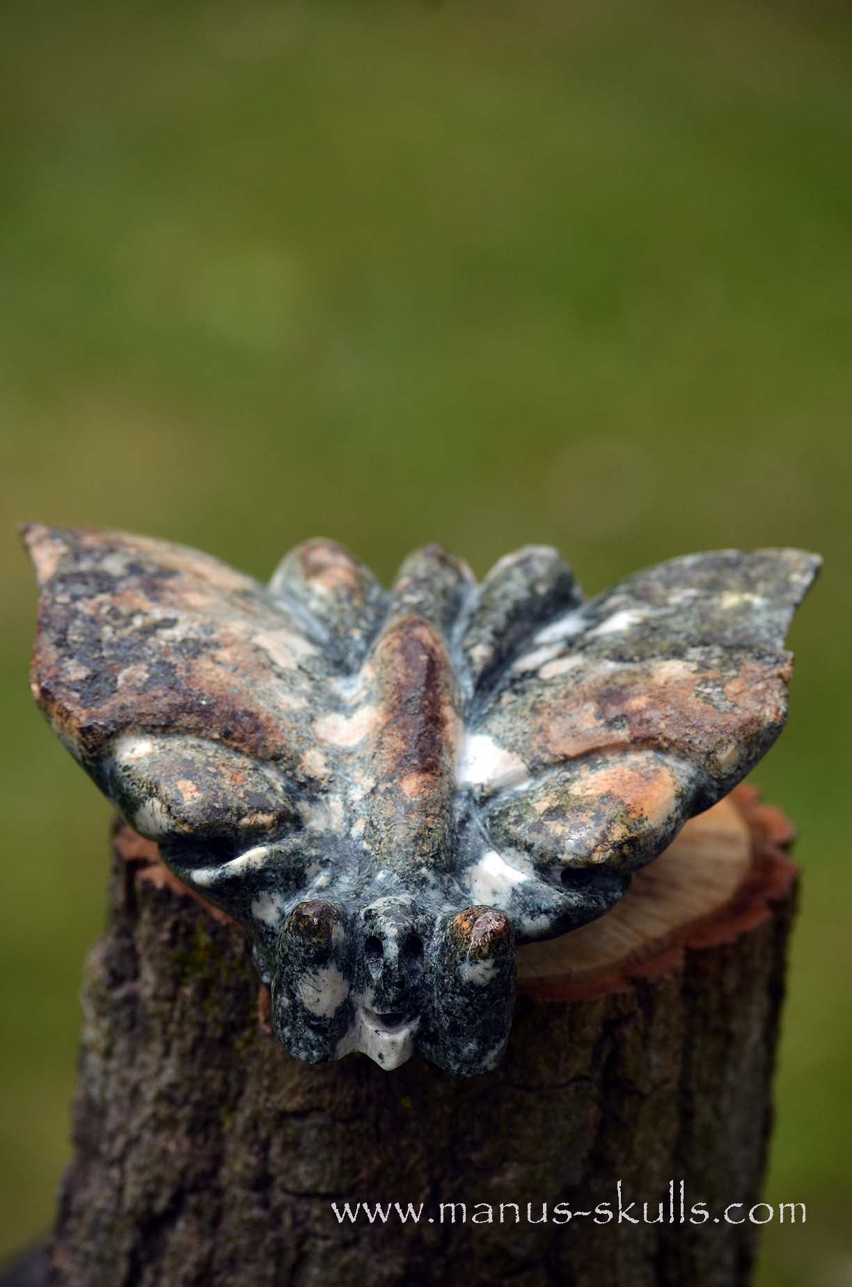 Preseli Bluestone Butterfly Dragon ....