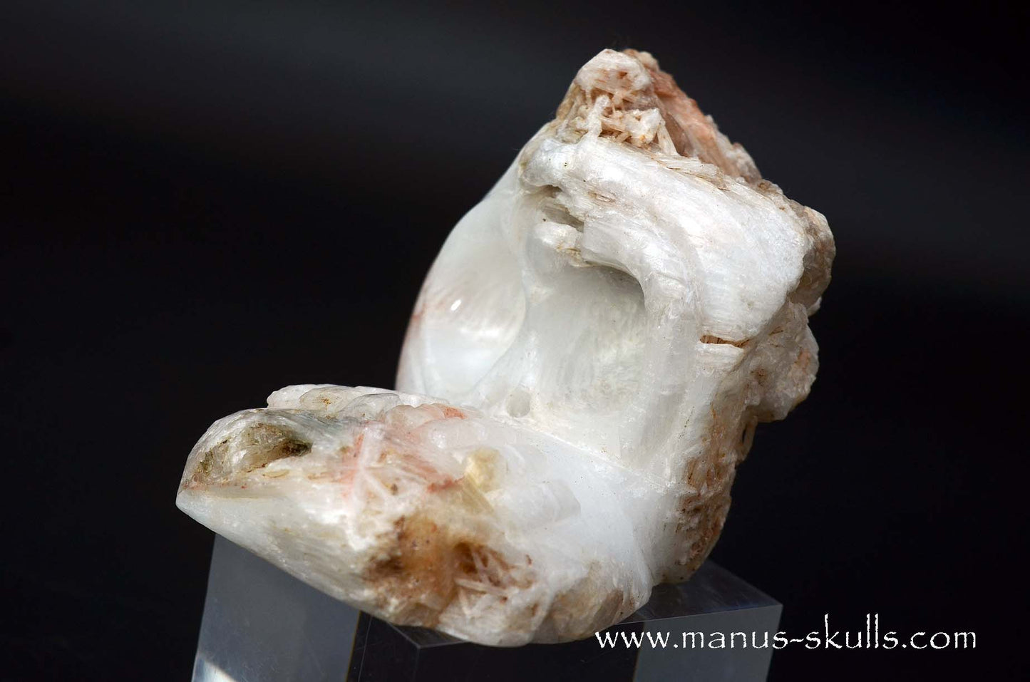 Scolecite Evolian Skull #04