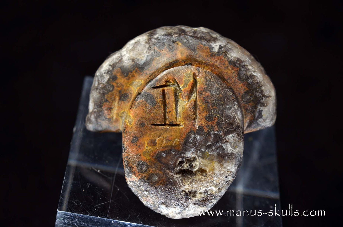 Agate Geode Evolian #05