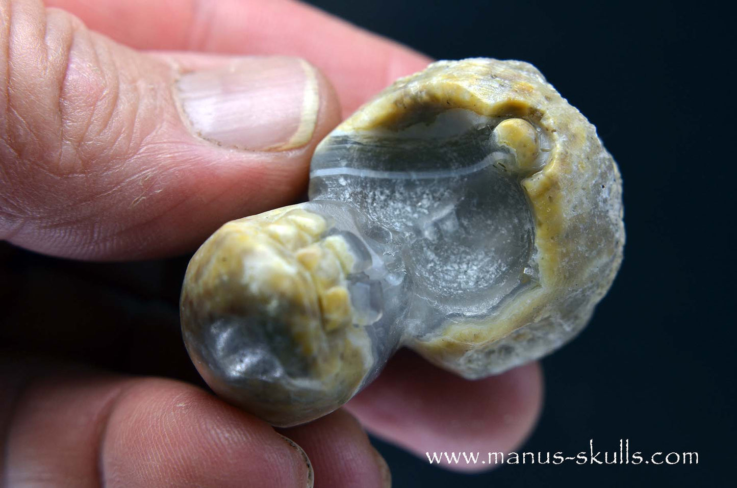 TNT-bed Thunderegg Evolian #04