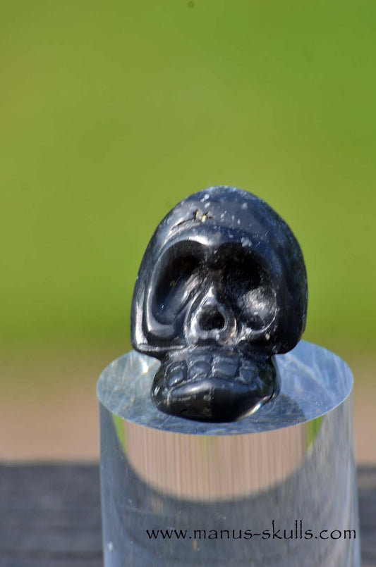 Agni Manitite Evolian #05