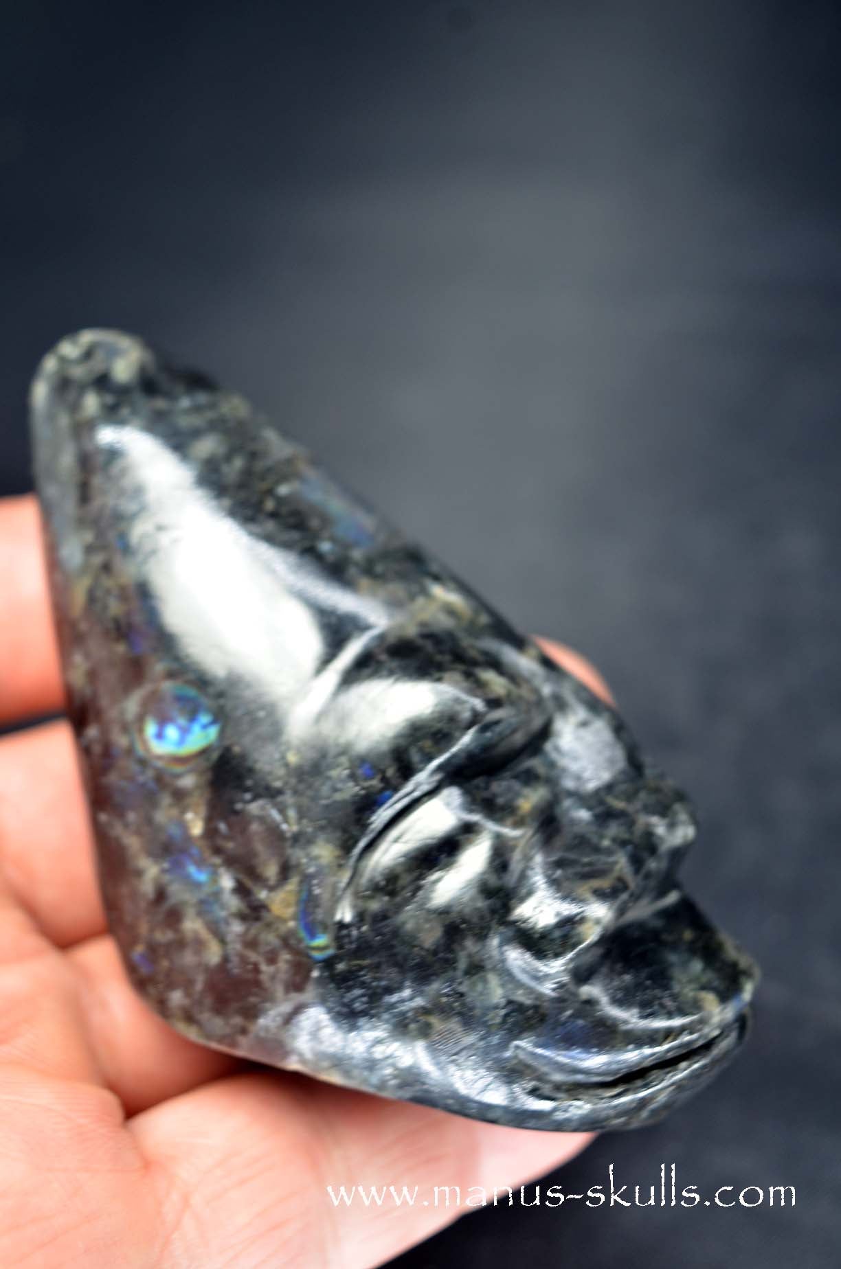 Spectrolite Toothless Conehead Skull