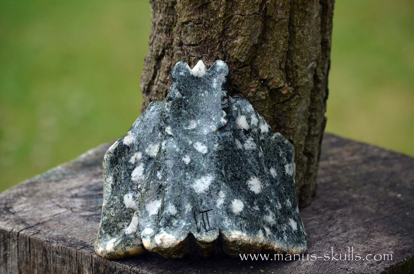 Preseli Bluestone Butterfly Dragon ....