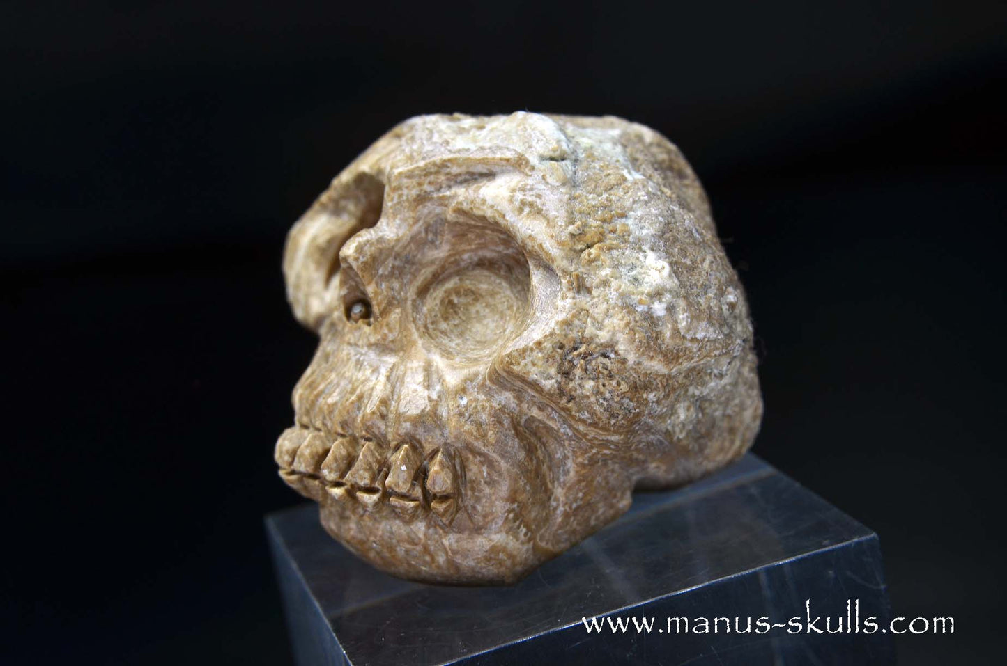 Aragonite Nodul Skull