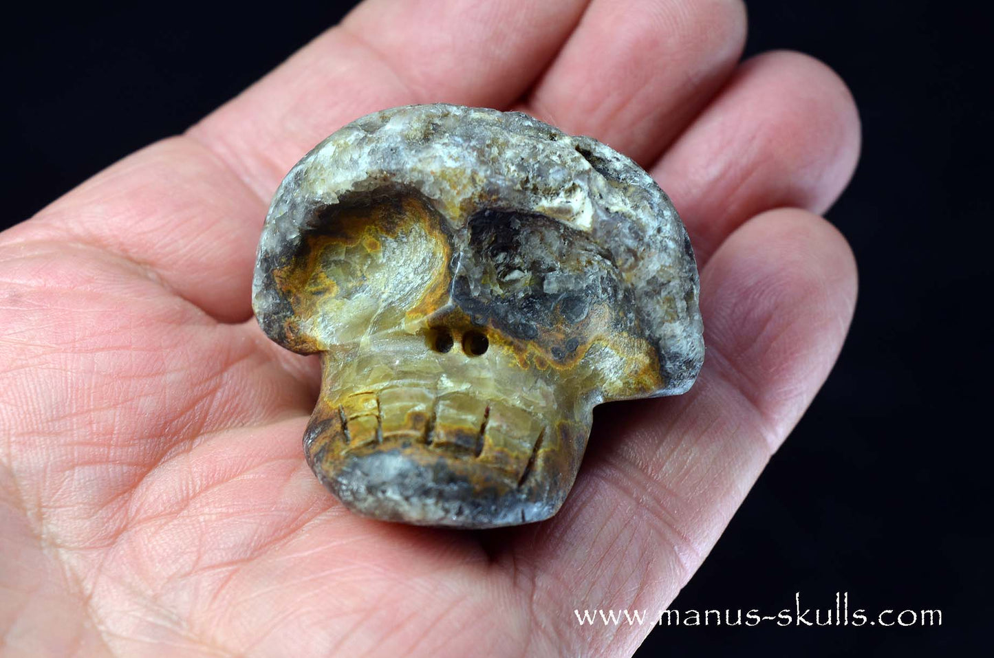 Agate Geode Evolian #05