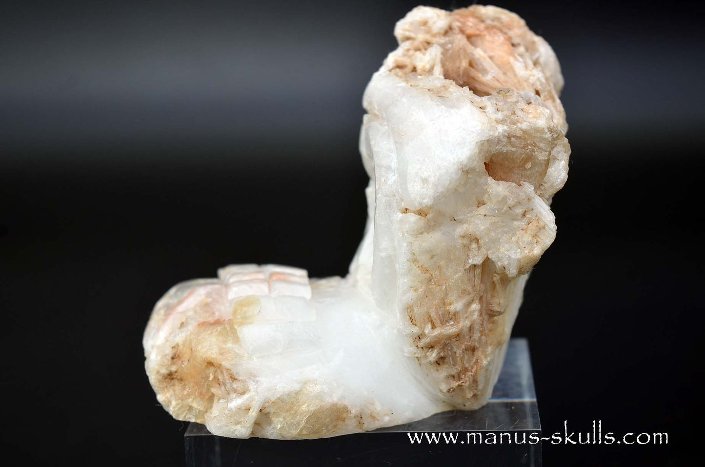 Scolecite Evolian Skull #04