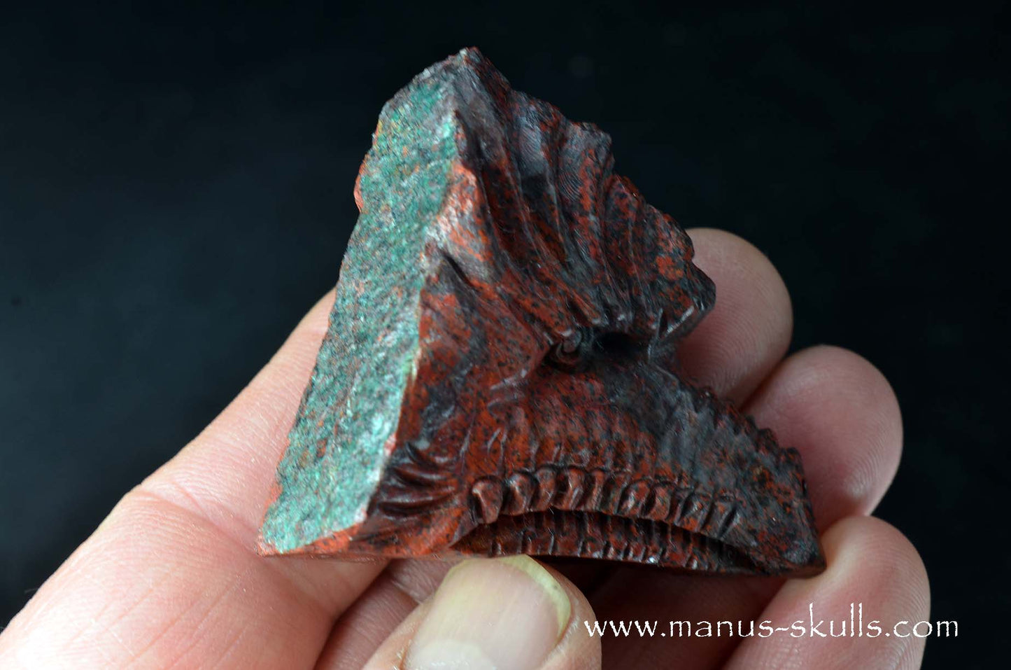 Sonora Sunrise Dragon