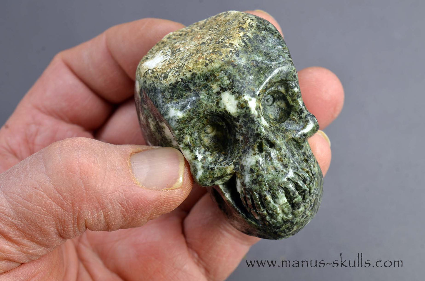 Preseli Bluestone Skull