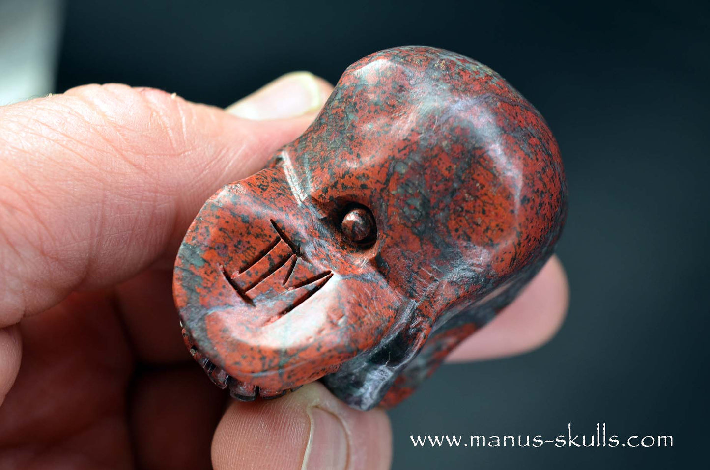 Sonora Sunrise Skull