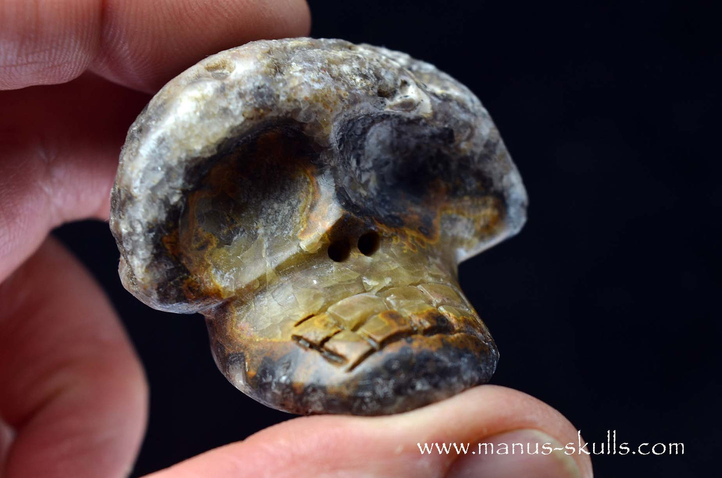 Agate Geode Evolian #05