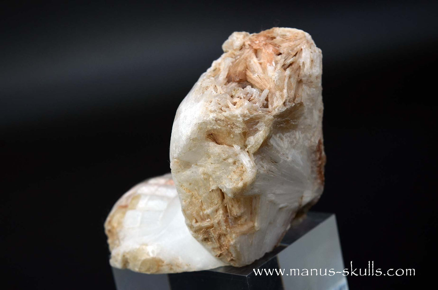 Scolecite Evolian Skull #04
