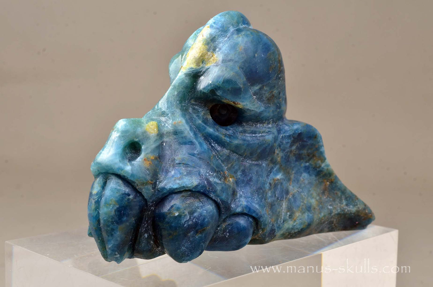 Apatite Dragon