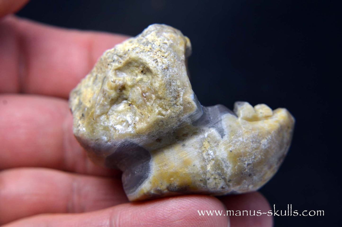 TNT-bed Thunderegg Evolian #04