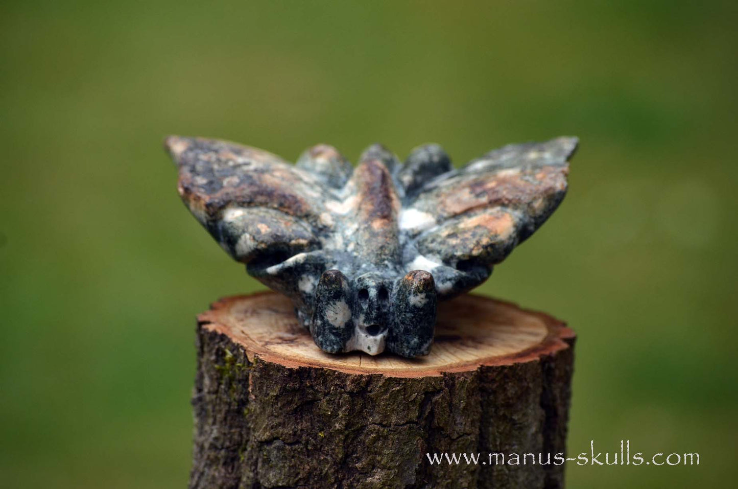 Preseli Bluestone Butterfly Dragon ....
