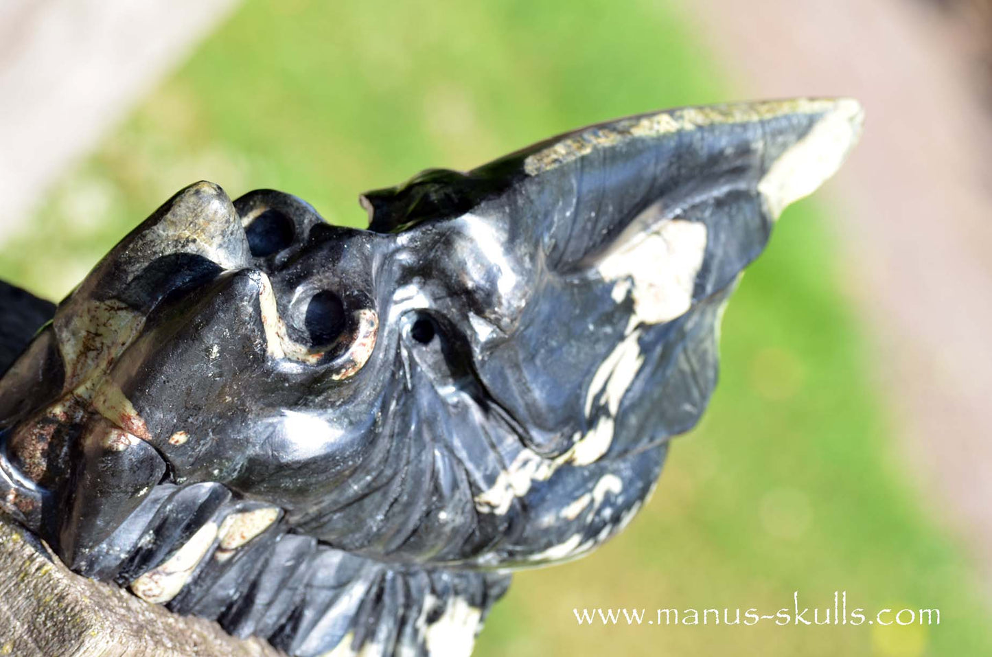 XL Black Green Connemara Marble Dragon