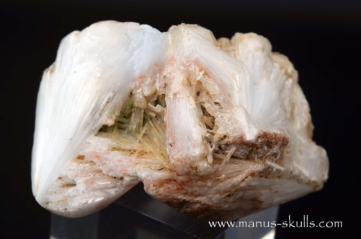 Scolecite Evolian Skull #04