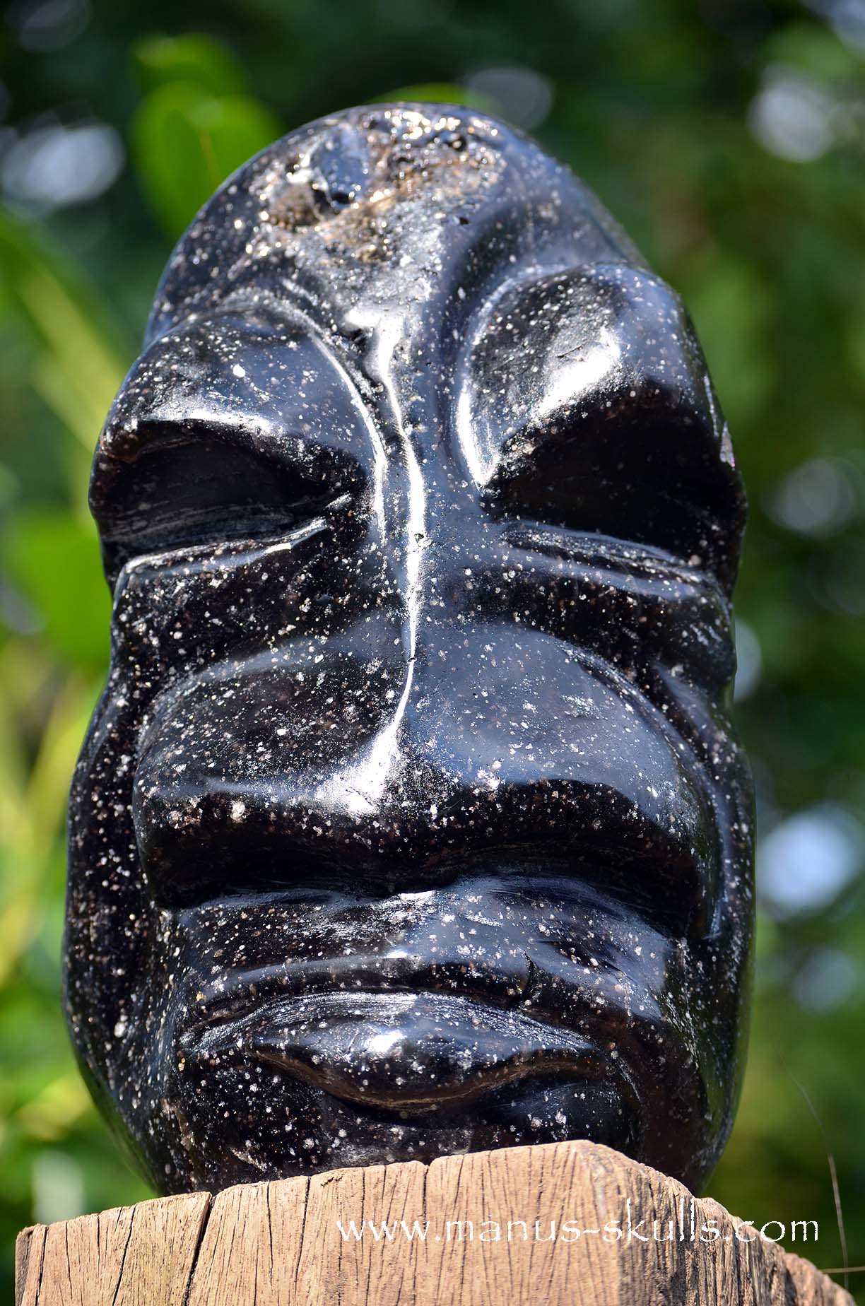 Spiderweb Obsidian Tribal Skull Chief #068