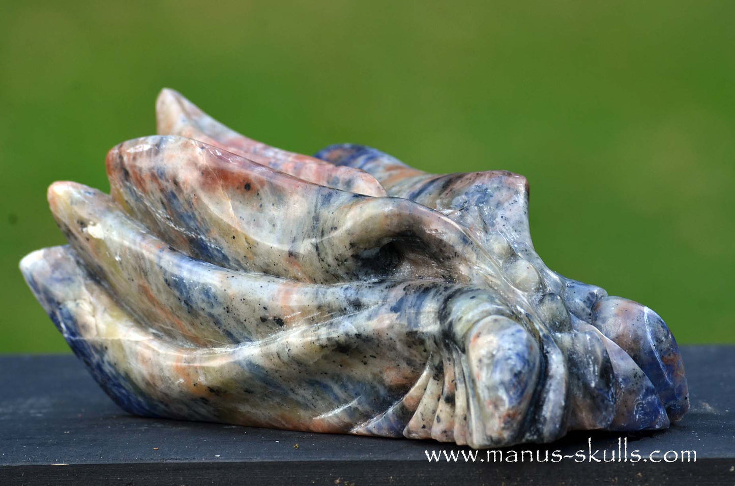 Sunset Sodalite Dragon