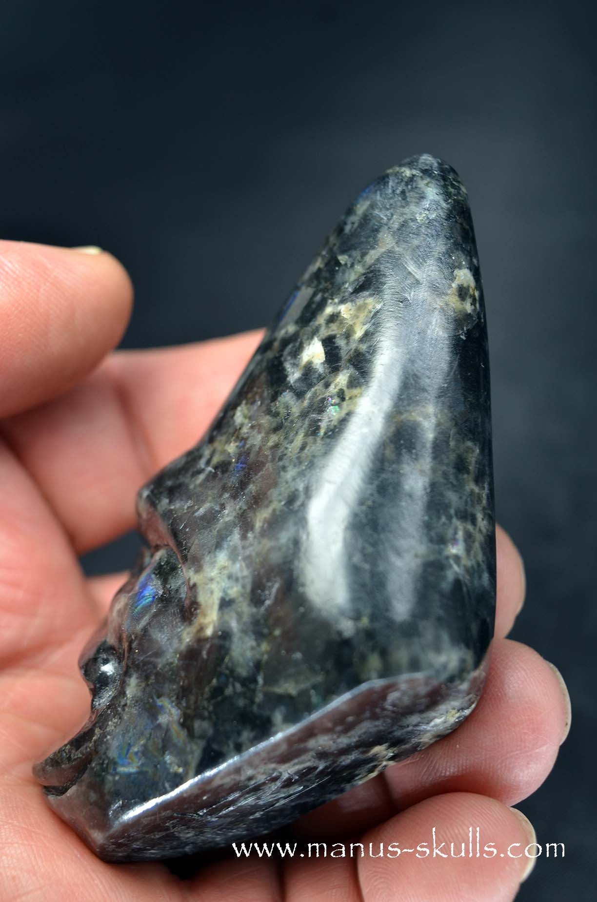 Spectrolite Toothless Conehead Skull
