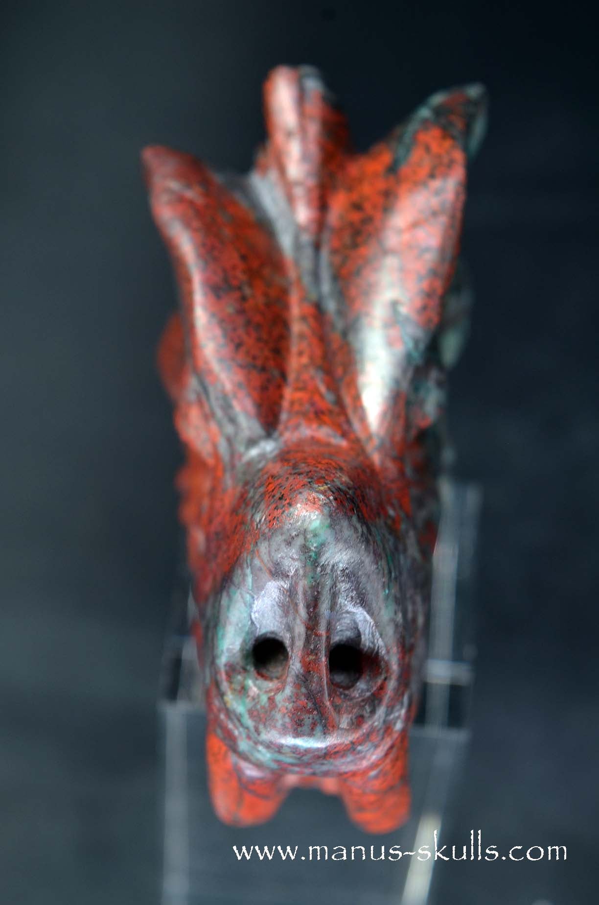Sonora Sunrise Dragon