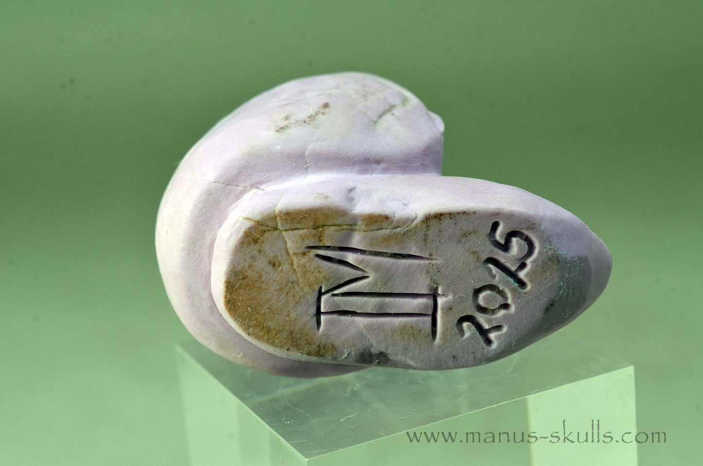 Phosphosiderite Evolian Skull #05