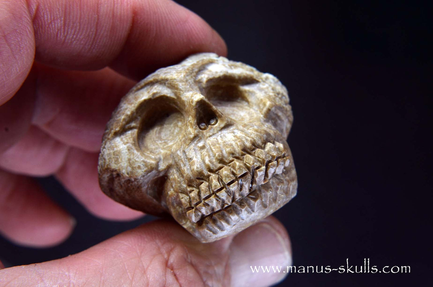 Aragonite Nodul Skull