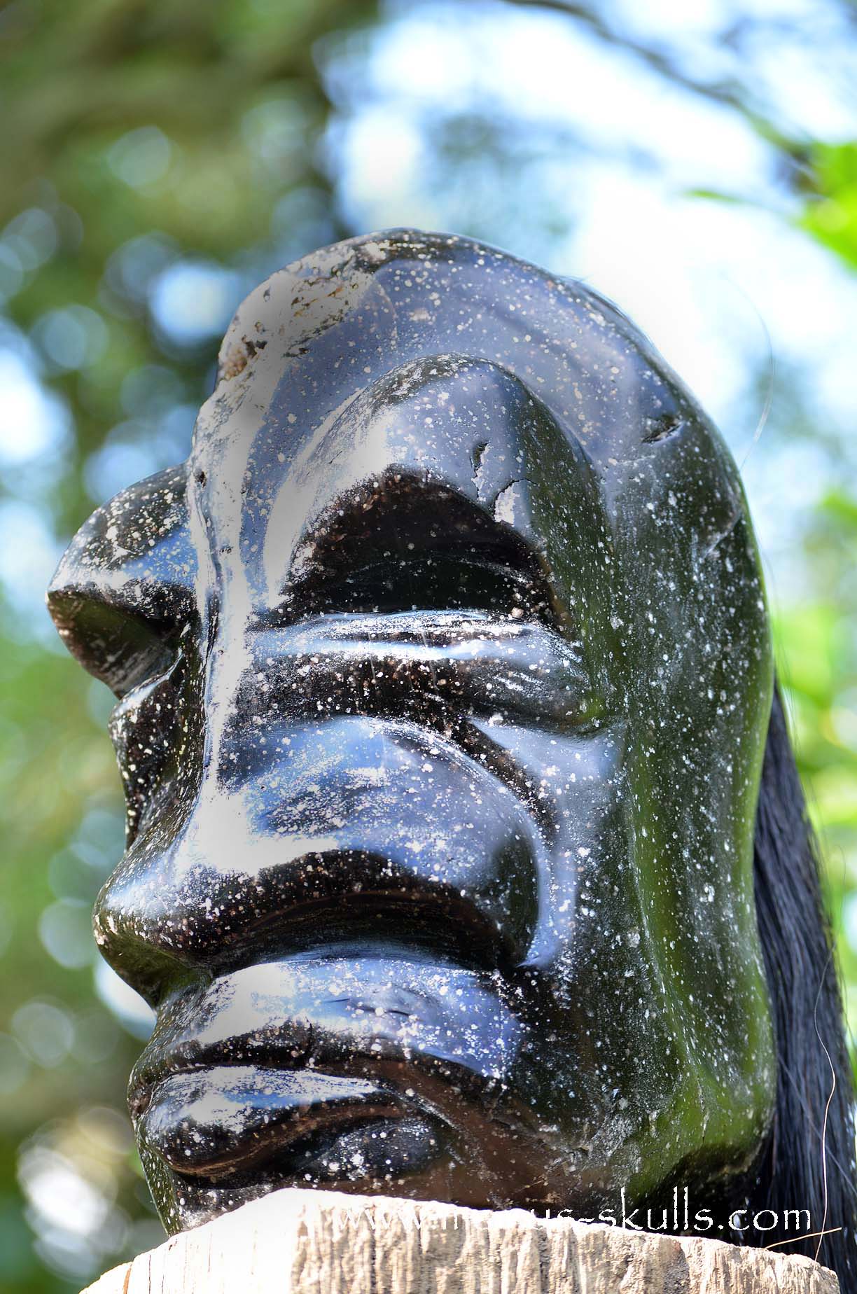 Spiderweb Obsidian Tribal Skull Chief #068