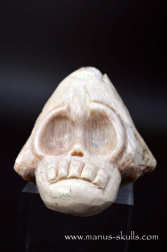 Manus skulls unique Crystal Carvings handmade skulls dragons pendants preseli bluestone tribals spiritual meaning wand Unicorn .. scolecite evolian 2025