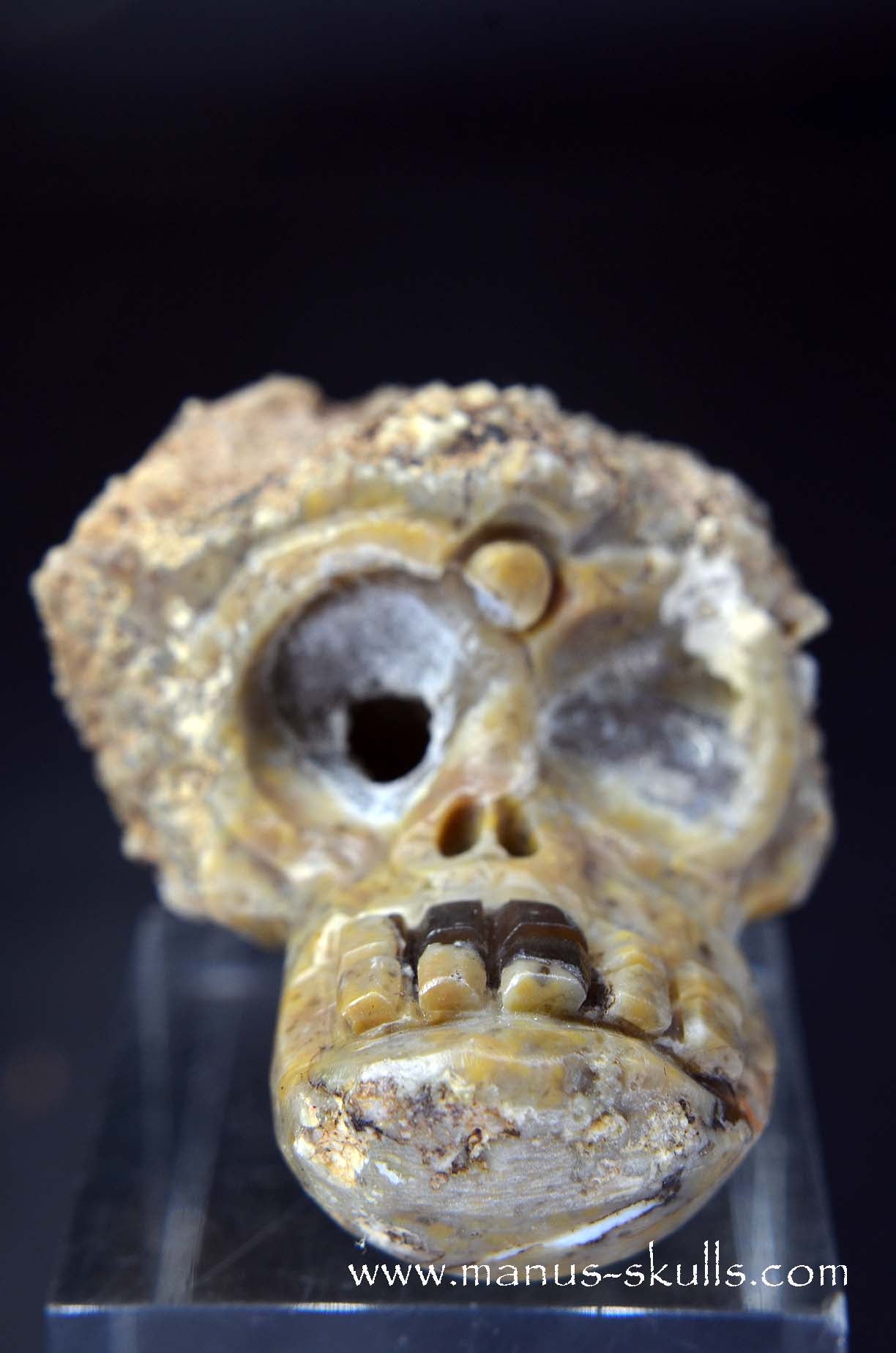 Manus skulls unique Crystal Carvings handmade skulls dragons pendants preseli bluestone tribals spiritual meaning wand Unicorn .. TNT bed   Lithophyse   Thunderegg