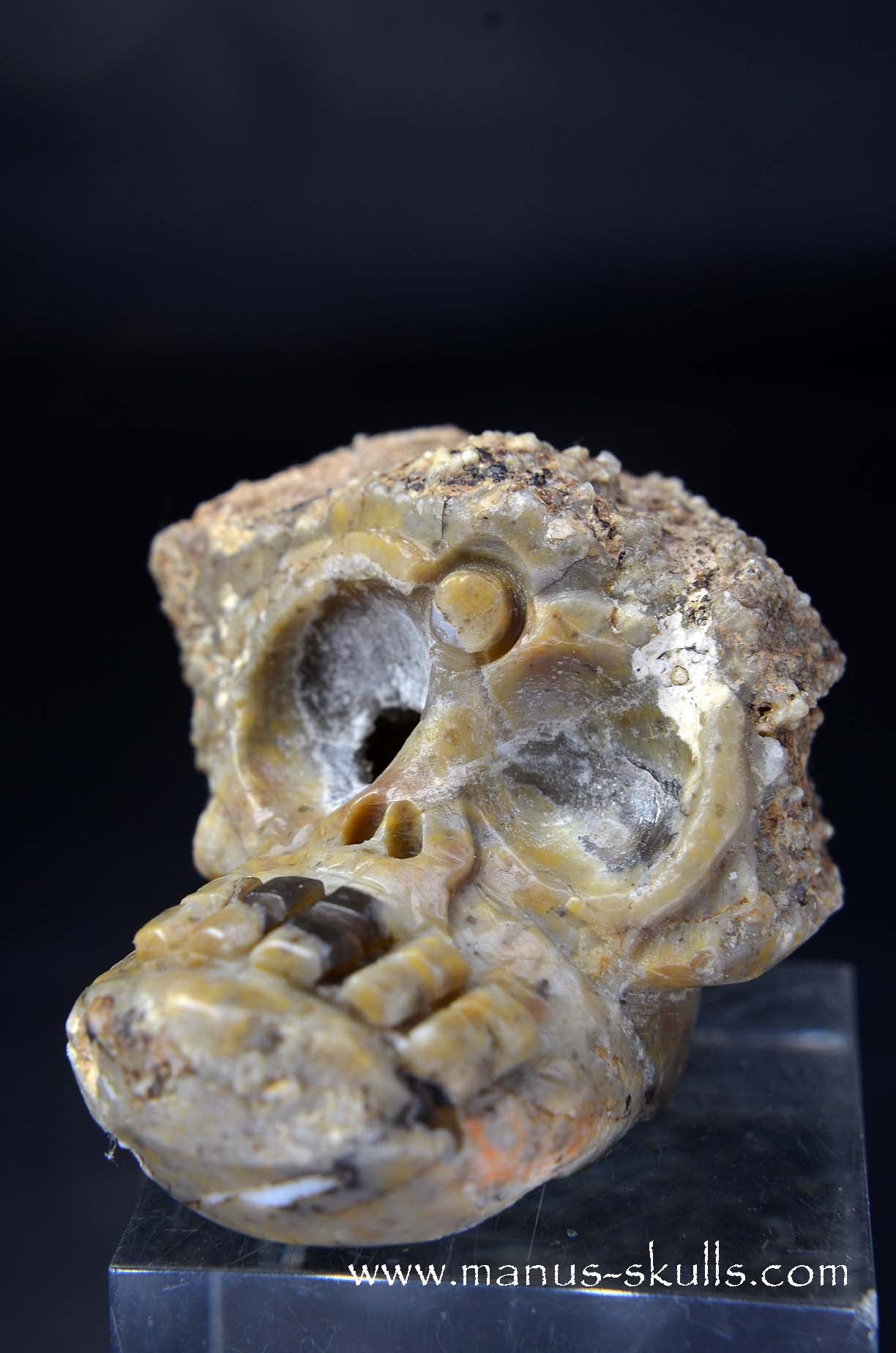 Manus skulls unique Crystal Carvings handmade skulls dragons pendants preseli bluestone tribals spiritual meaning wand Unicorn .. TNT bed   Lithophyse   Thunderegg