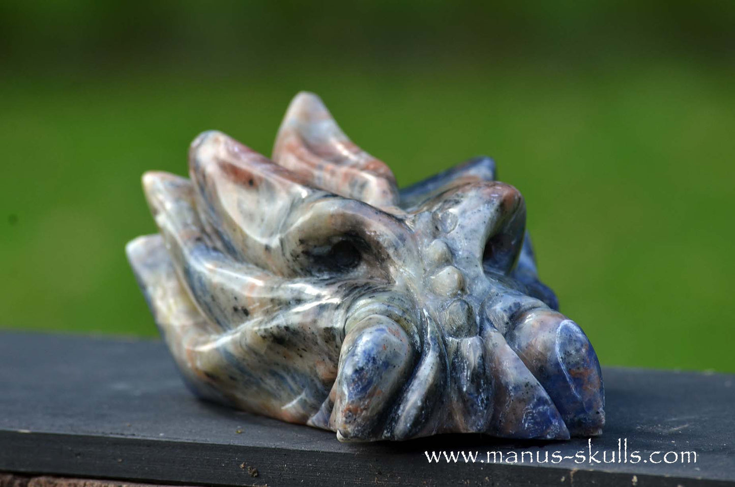 Sunset Sodalite Dragon